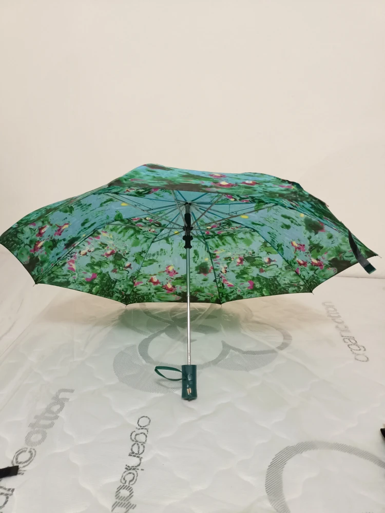 Assorted Umbrellas - Blue, Green, Black & 2 hat - photo 4