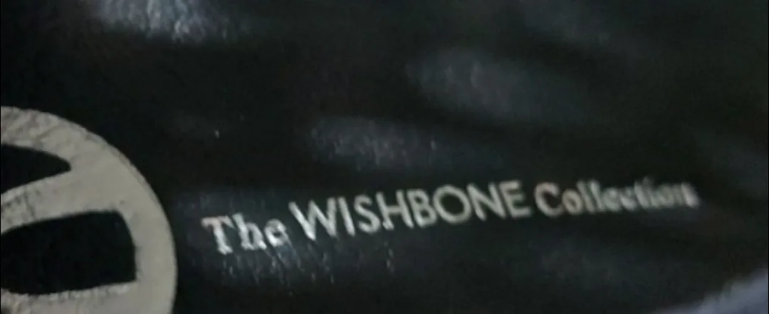 The Wishbone Collection Sneakers image indicator(3)