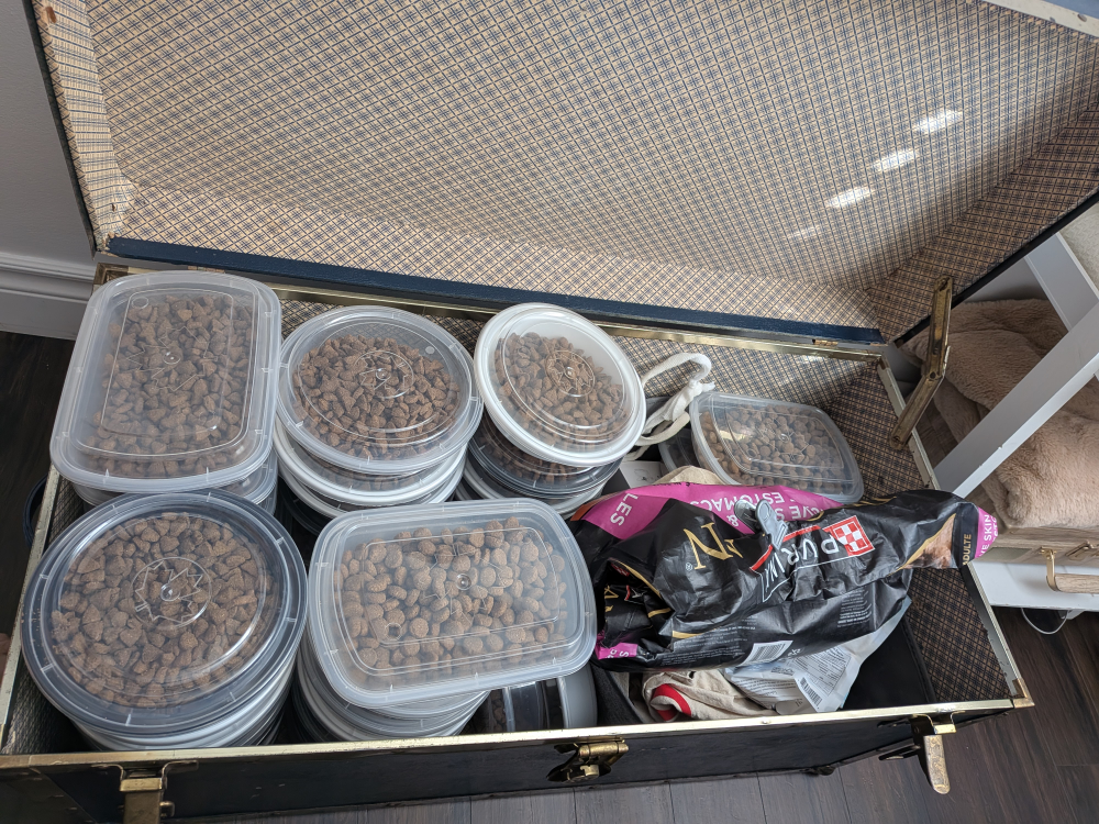Free dog food