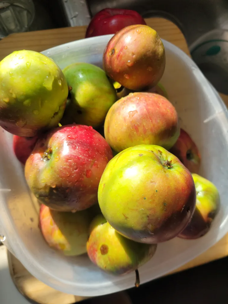 Bag of Fresh Apples image indicator(2)