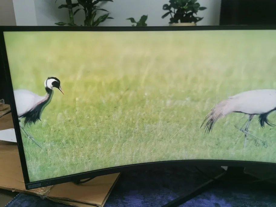 Samsung NEO G9 MONITOR 49" (5120 x 1440) image indicator(7)