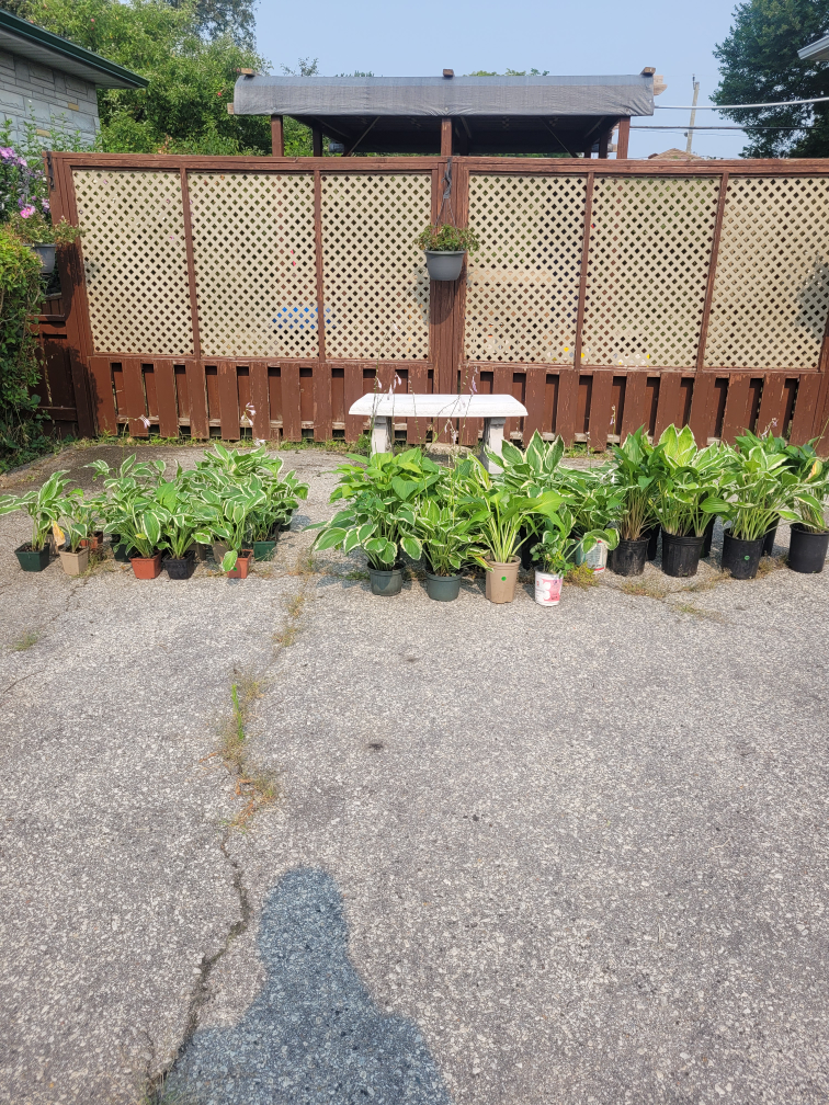 Yard Sale today - photo 4