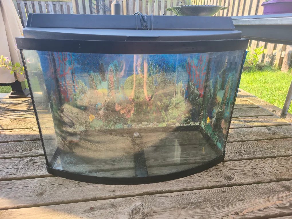 Curved Fish Tank with Light thumbnail