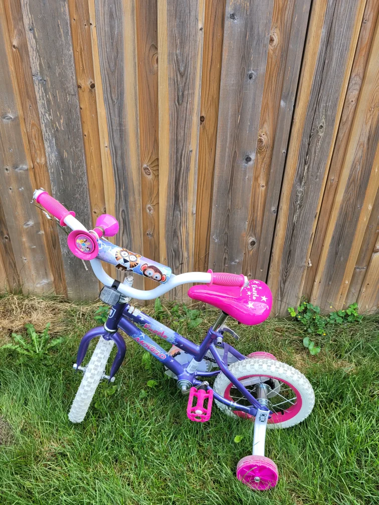 Kids' Iron Man & Paw Patrol 12-inch Bikes image indicator(2)