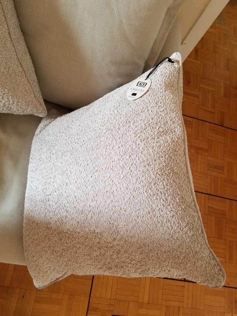 2 Brand New Pillows - Callisto Home Decorative Pillow - - photo 5