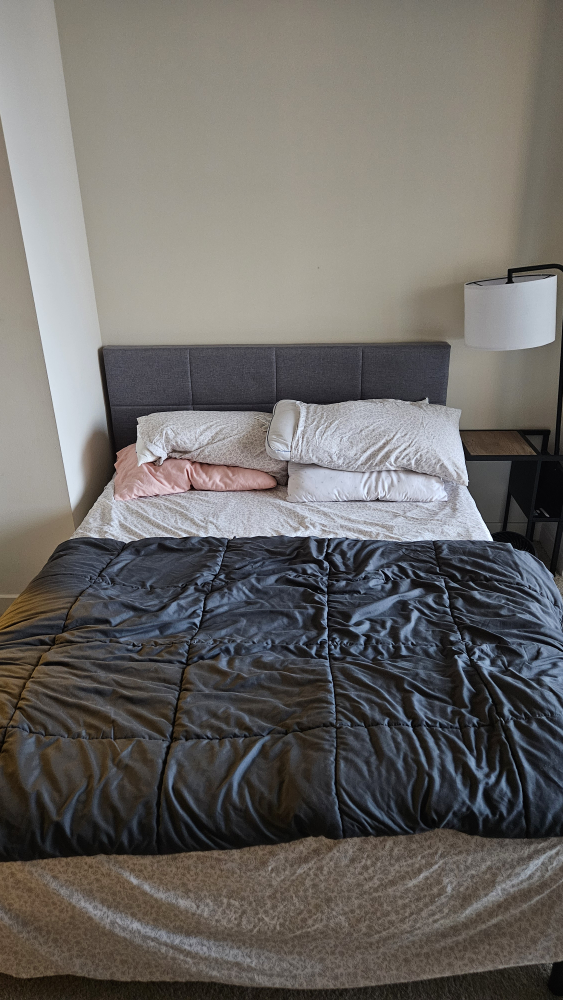 Queen Mattress and Bed Frame