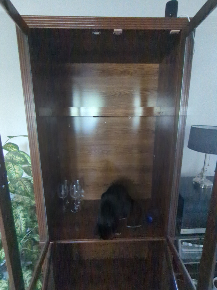 China cabinet(NEED GONE ASAP) - photo 4