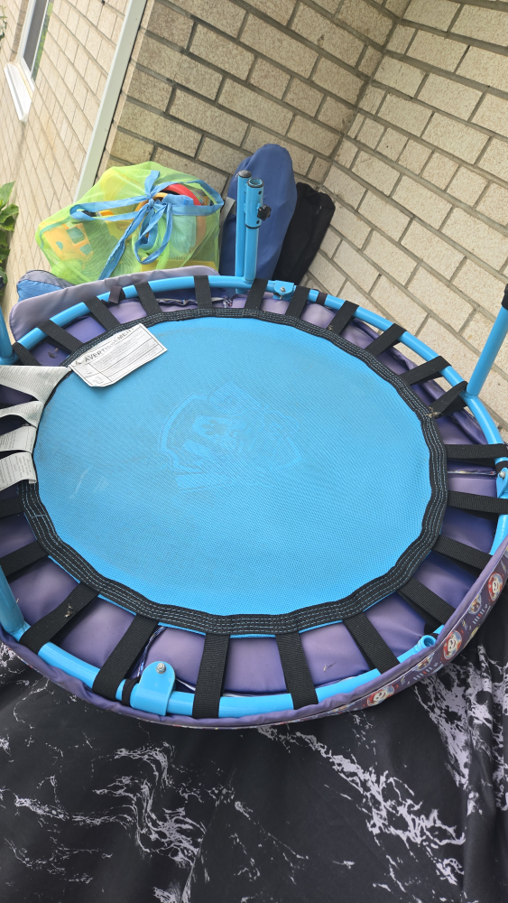 Paw Patrol Kids Trampoline - photo 3