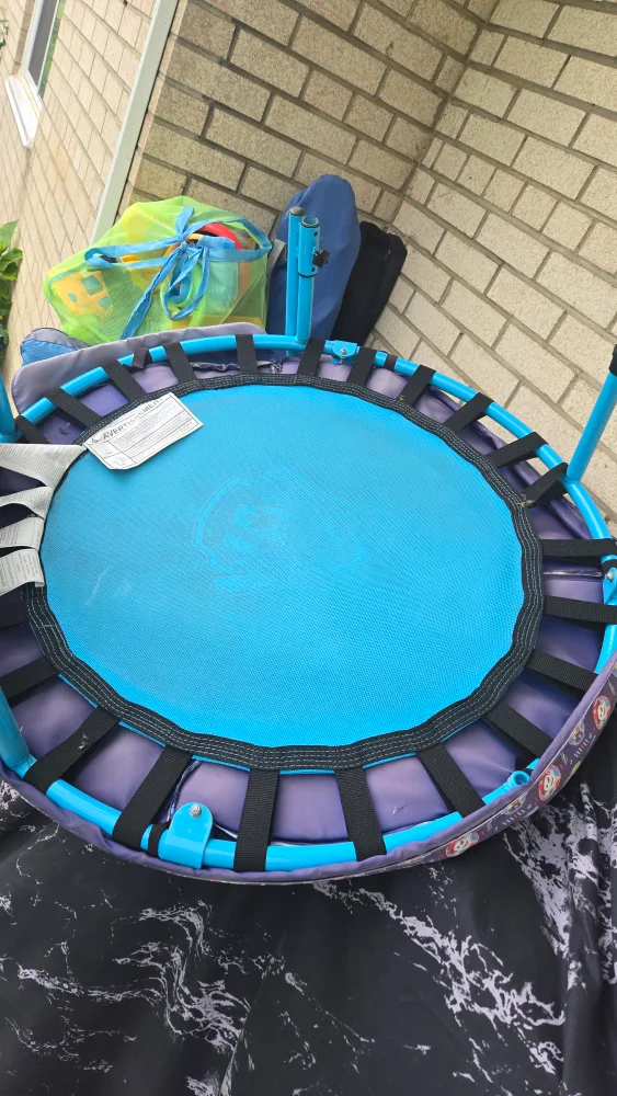 Paw Patrol Kids Trampoline image indicator(3)