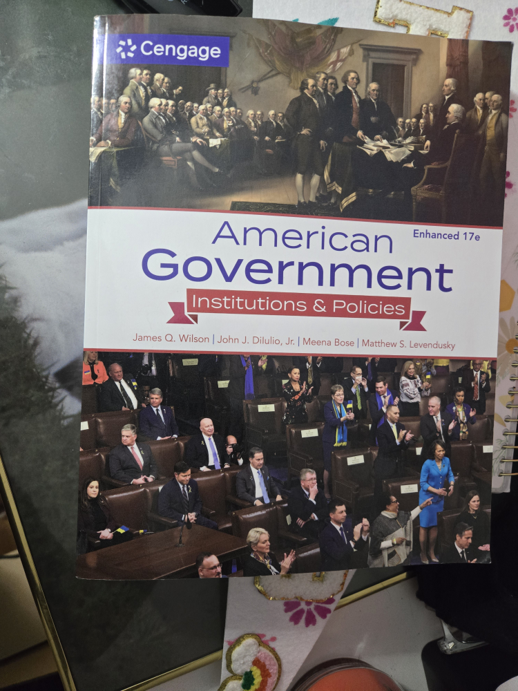 American Government Institutions & Policies Book