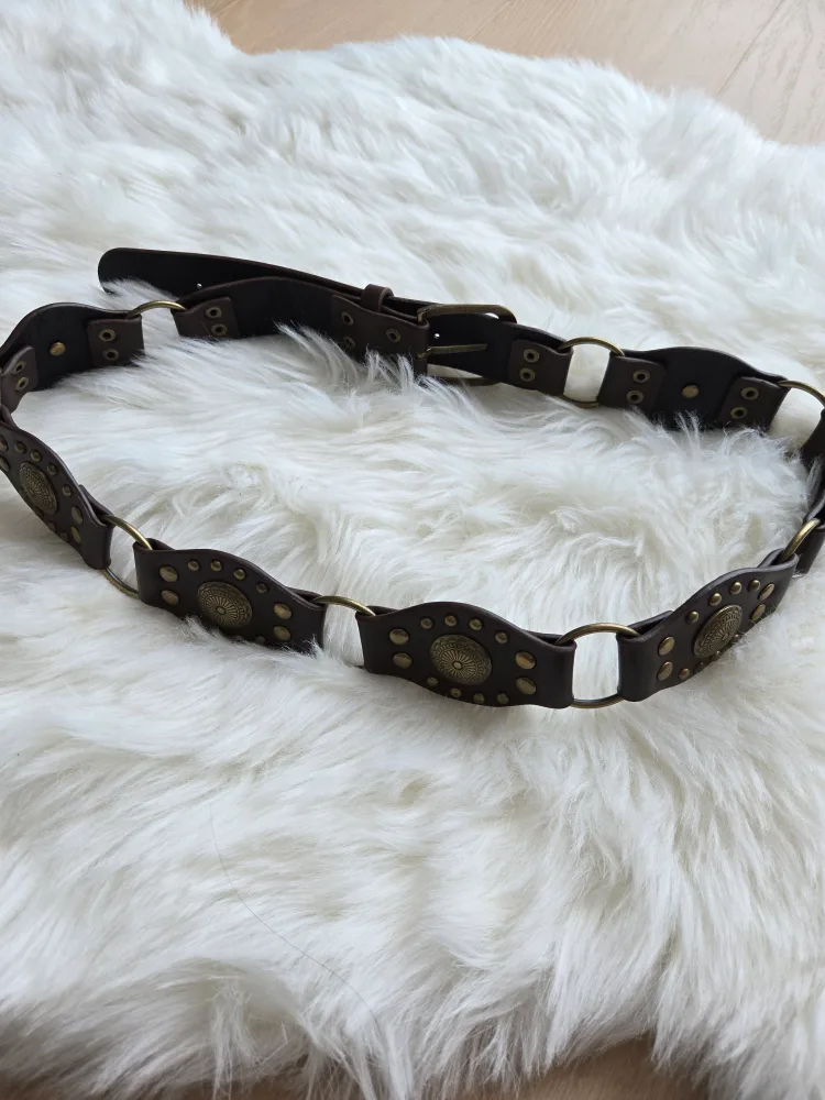 Brown Leather Belt with Gold Accents image indicator(2)