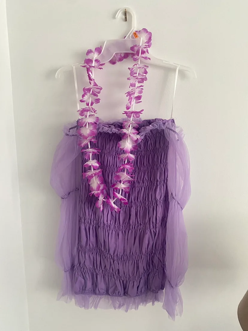 Purple Sheer Sleeve Dress image indicator(2)