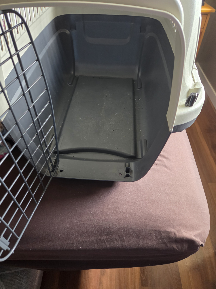 Essentials Pet Carrier