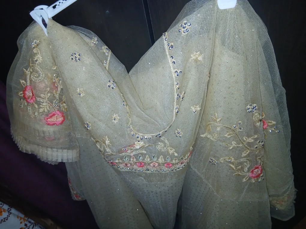 Embroidered Gold Net Saree - Beige & Floral thumbnail