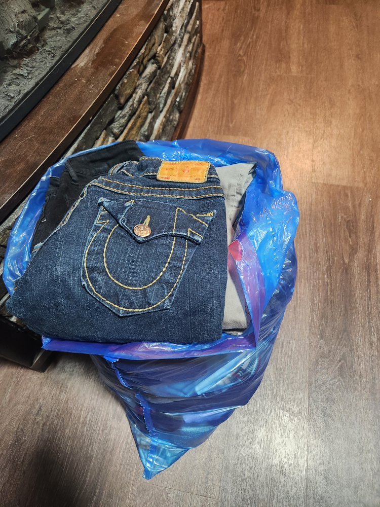 Mixed Clothing Lot - American Eagle, True Religion, Forever 21 - photo 4