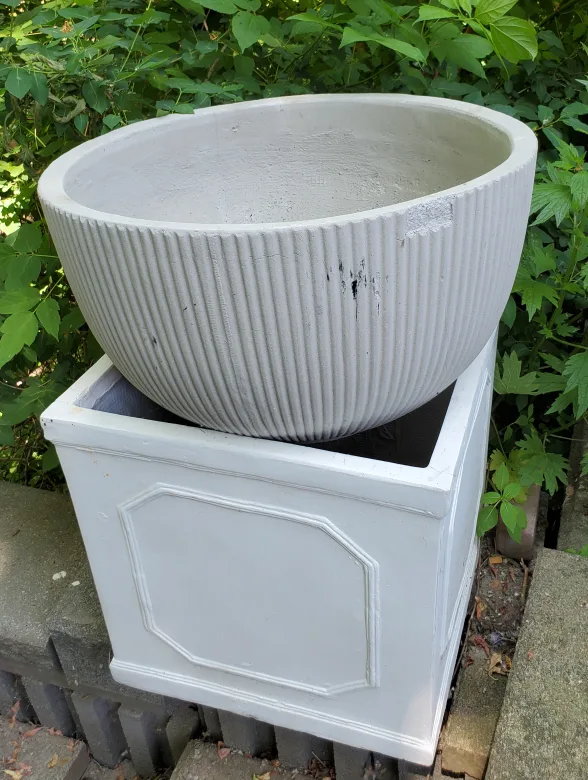 Assorted Planters & Plant thumbnail