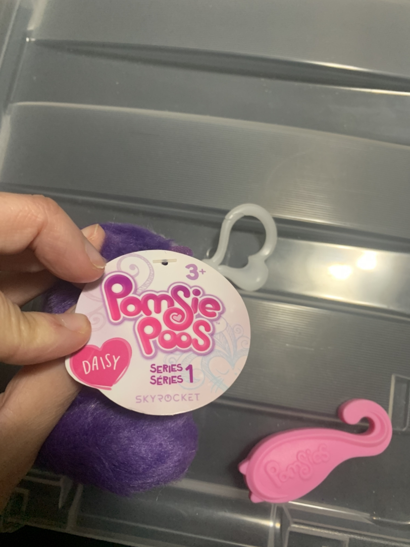 $5 pomsie poos Daisy series 1 keychain- NWT - photo 2