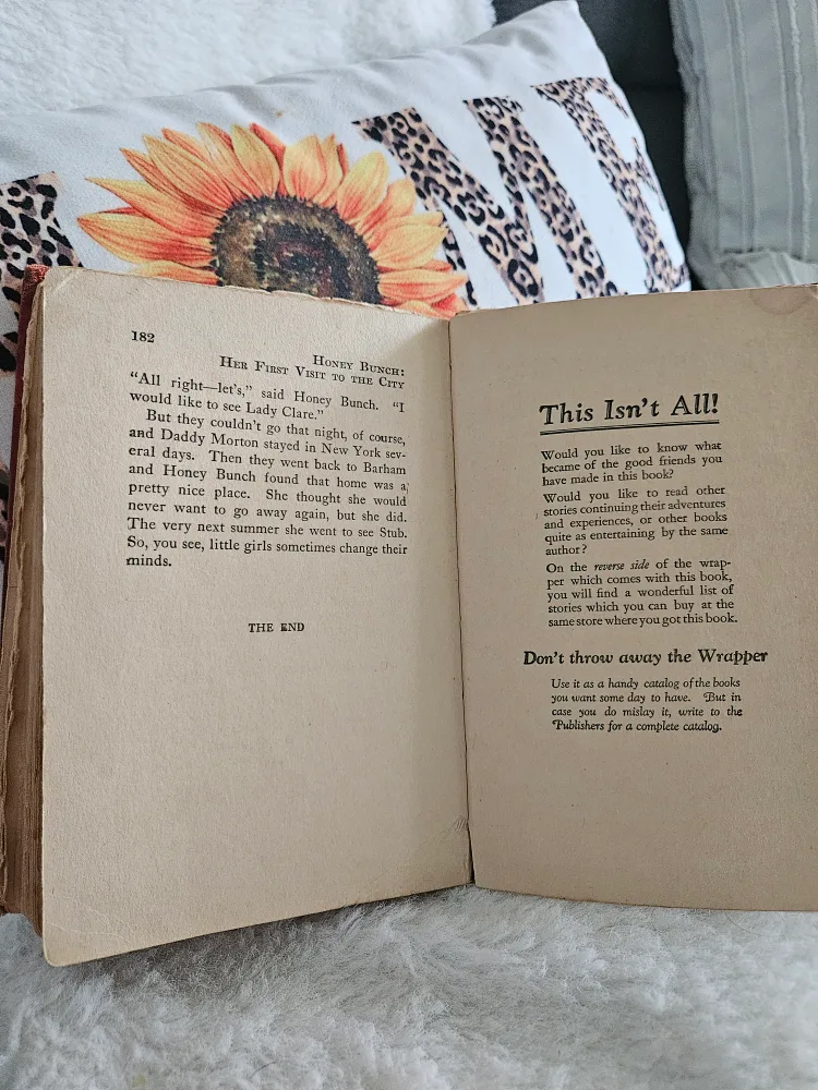 Honey Bunch: Her First Visit to the City by Helen Thorndyke image indicator(7)