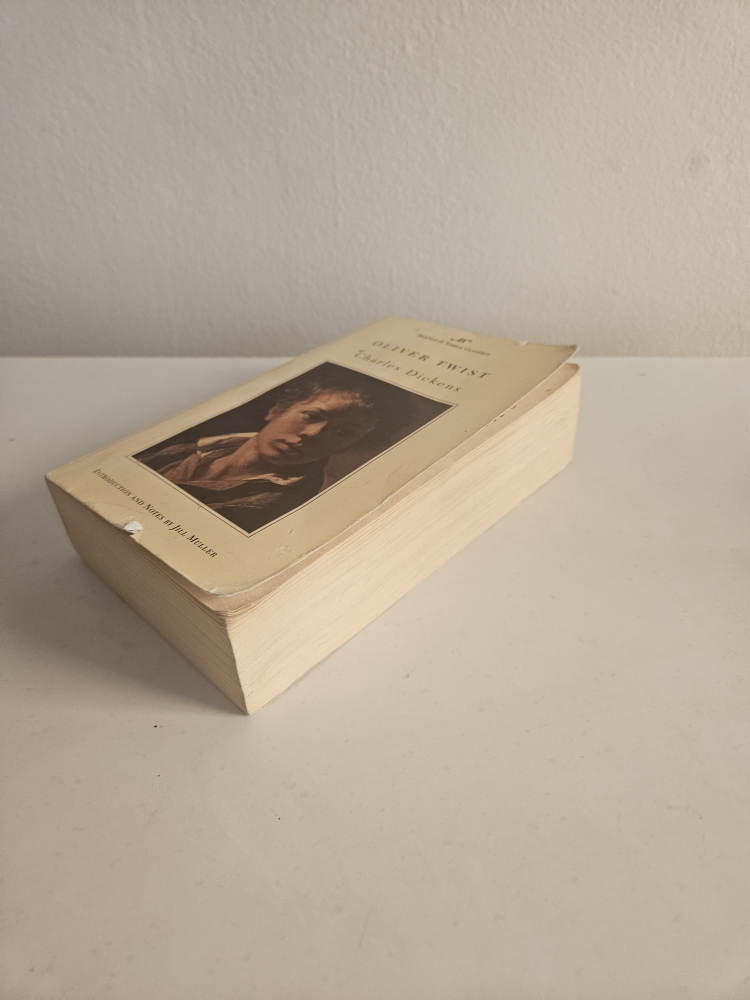Oliver Twist by Charles Dickens 🧡 - photo 4
