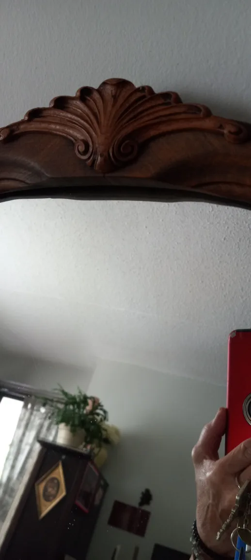 Wooden Framed Ornate Mirror image indicator(2)