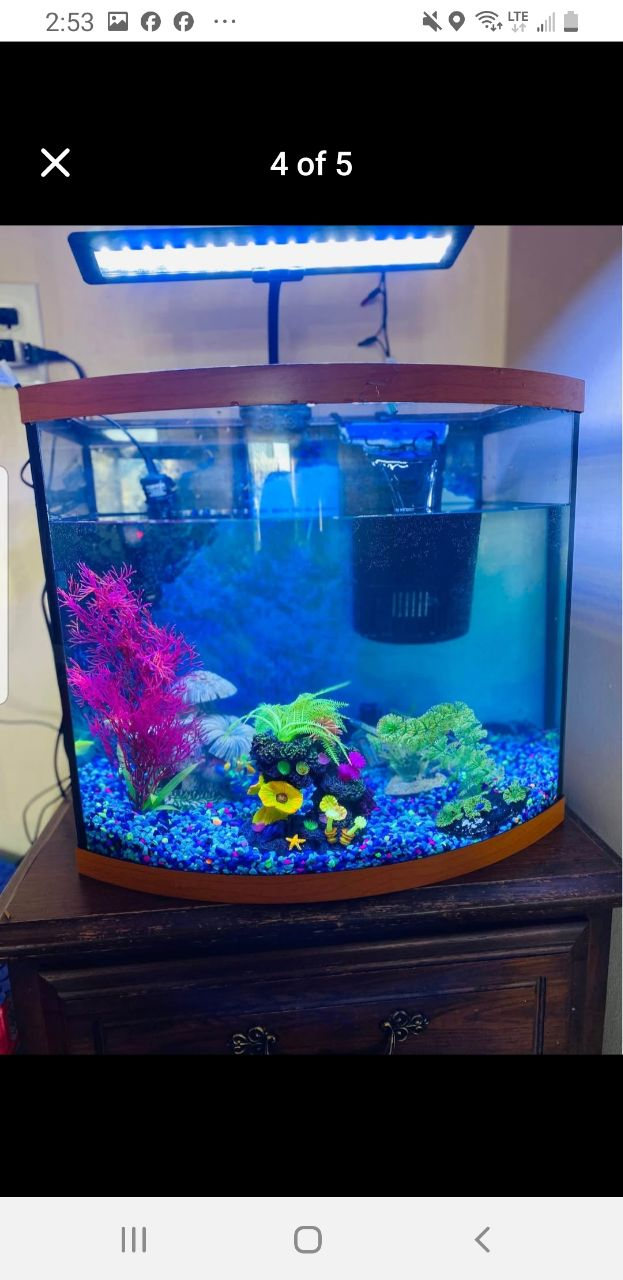 18 Gallons Aquarium - photo 3