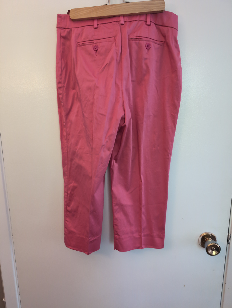 Tradition Pink Cropped Pants - Size 4 - photo 3