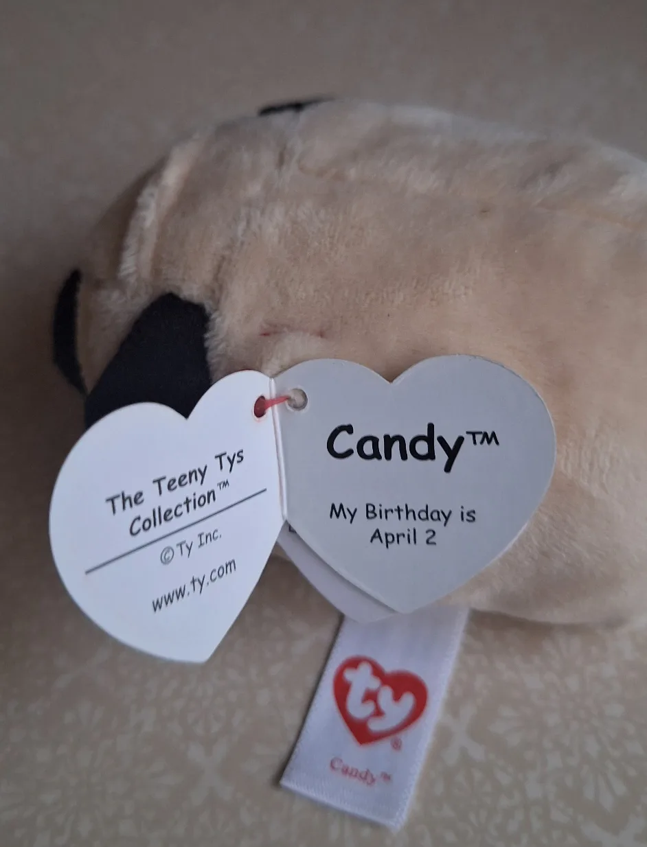 Ty Teeny Tys Candy Pug Plush Toy thumbnail