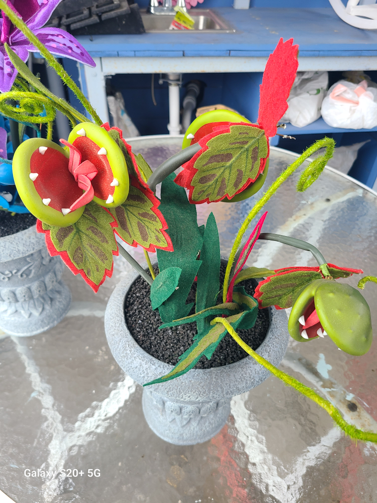 Unique Decorative Plant Arrangement - photo 2