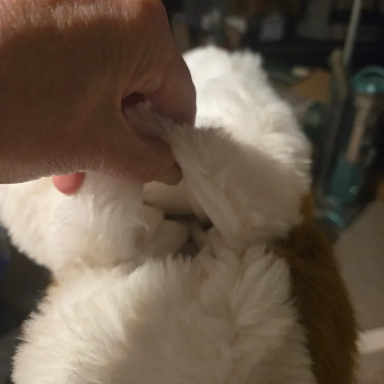 Stuffed Dog Plush Toy image indicator(3)