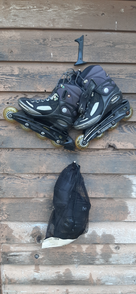 Tecnica Inline Skates with Protective Gear