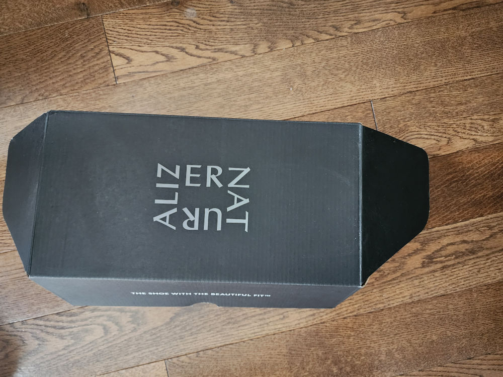 Naturalizer Kelly Hazelnut Pat US 10M - photo 2