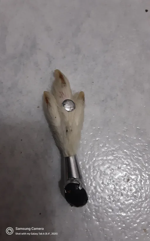 Victorian Grouse Foot Brooch thumbnail