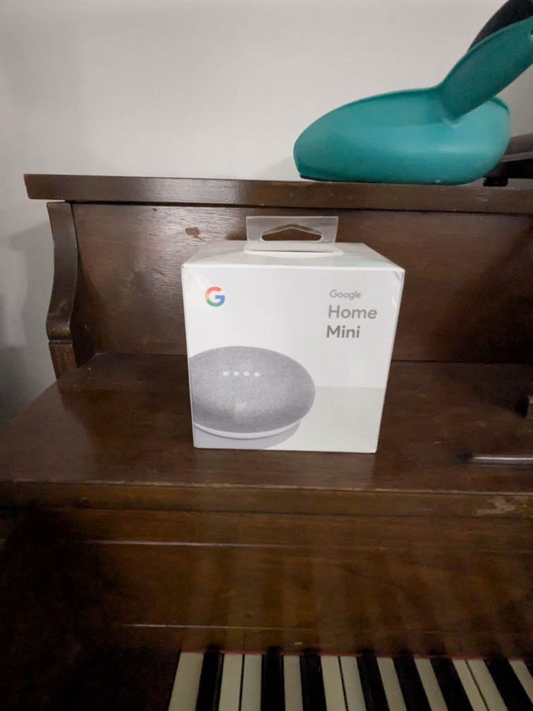 New Google Home Mini