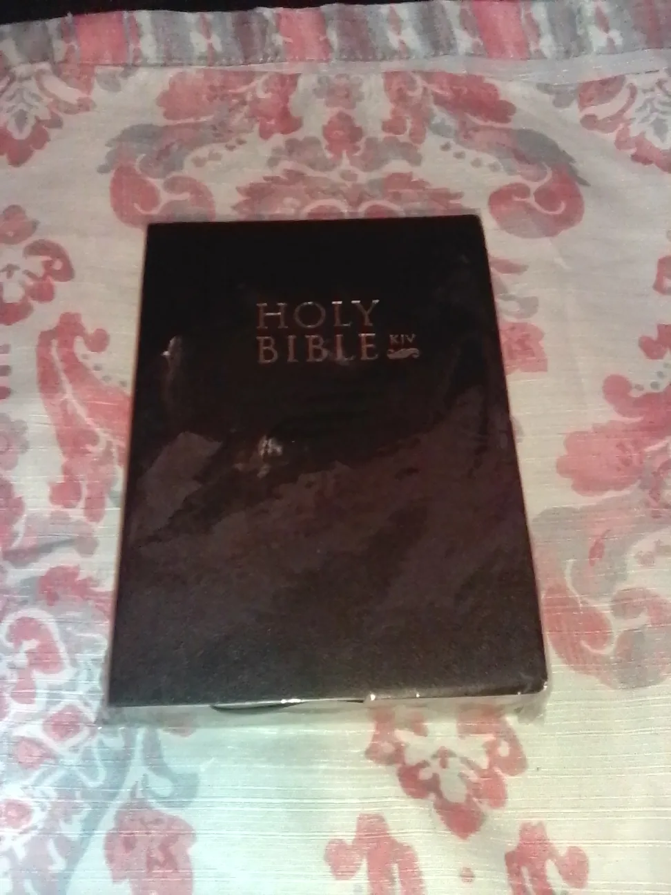 Holy Bible XIV thumbnail