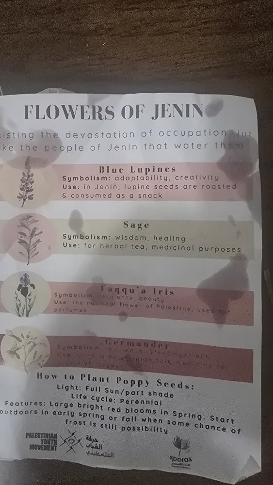 Flowers of Jenin Seed Pack image indicator(2)