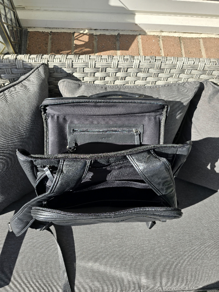 Danier Black Leather Backpack - photo 3