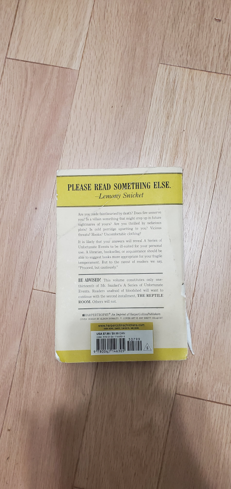 Lemony Snicket: The Bad Beginning - photo 2