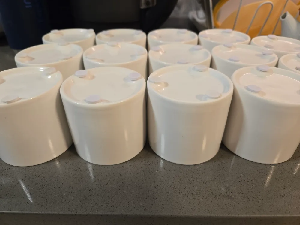 Small White Ceramic Plant Pots (Set of 14) thumbnail