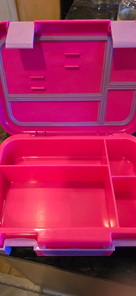 Pink Bento Lunch Box