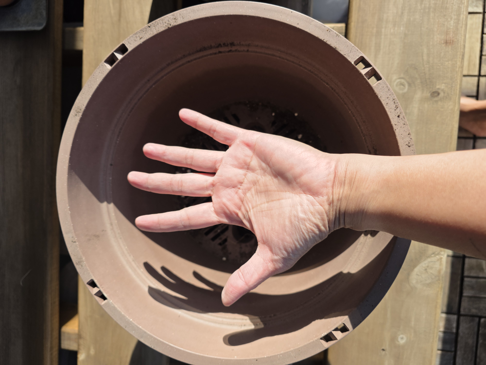 Brown Plastic Plant Pots - Set of 2 - photo 2