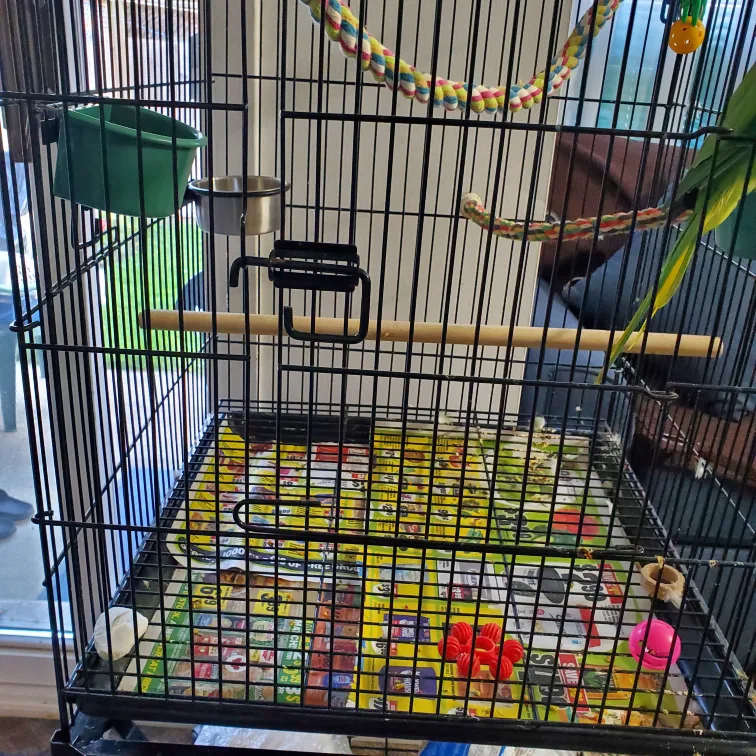 Bird Cage with Stand & Accessories image indicator(2)