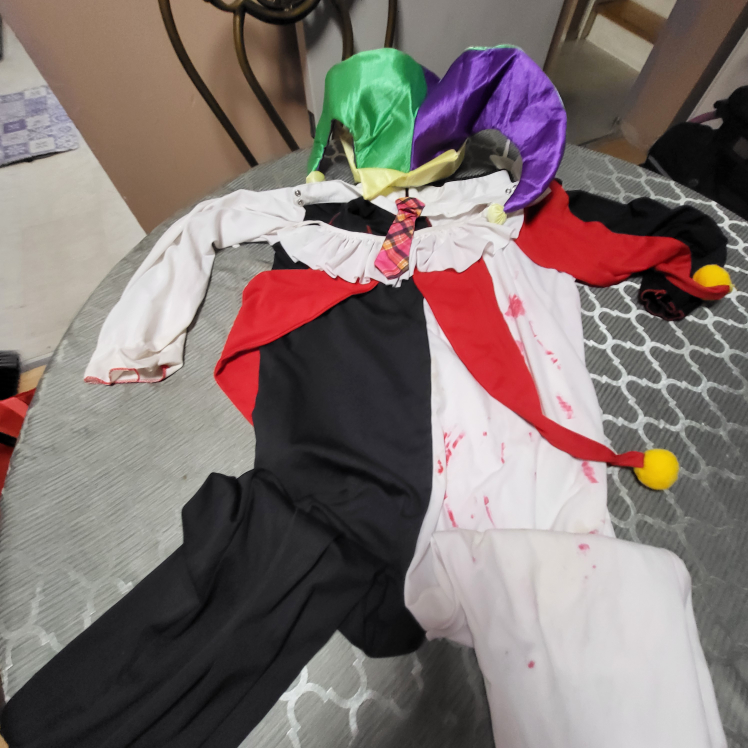 Harlequin/Jester Costume Sz Large