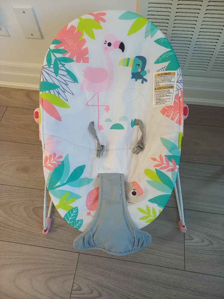 Bright Starts Flamingo Vibes Vibrating Bouncer - photo 2