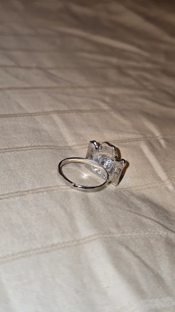 Camera Ring - Black & Silver image indicator(2)