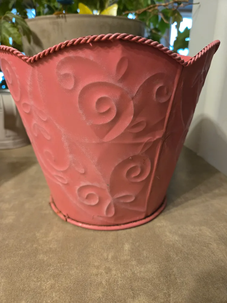 Flower Pot🧡 thumbnail
