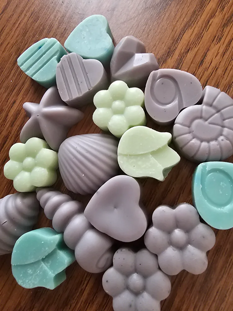 Assorted Wax Melts - Seashells, Hearts, Flowers