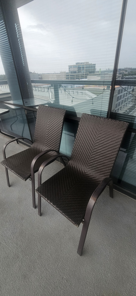 Wicker Outdoor Patio Chairs - Set of 2