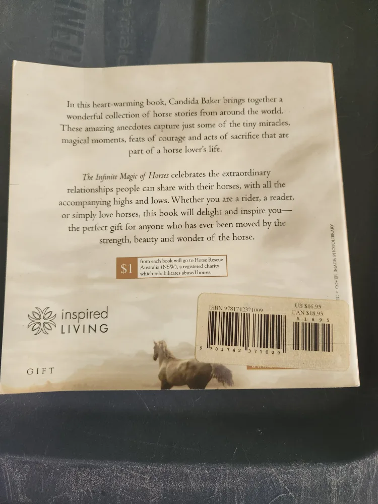 The Infinite Magic of Horses by Candida Baker image indicator(2)