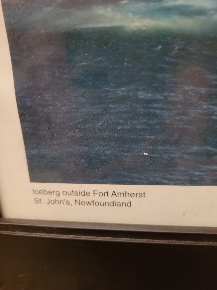 Iceberg outside Fort Amherst St John's NL - photo 2