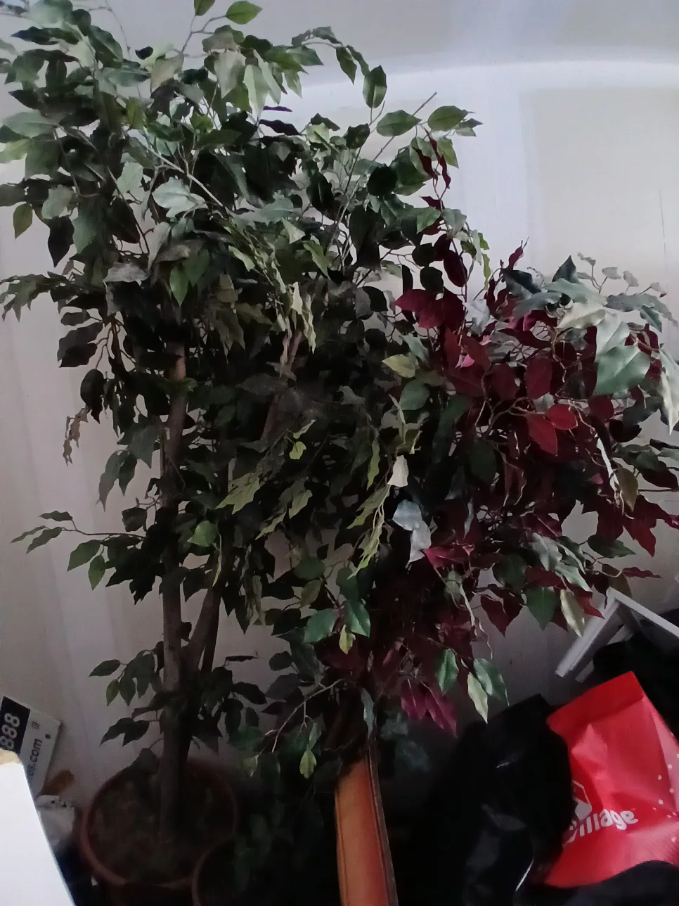 artificial trees thumbnail